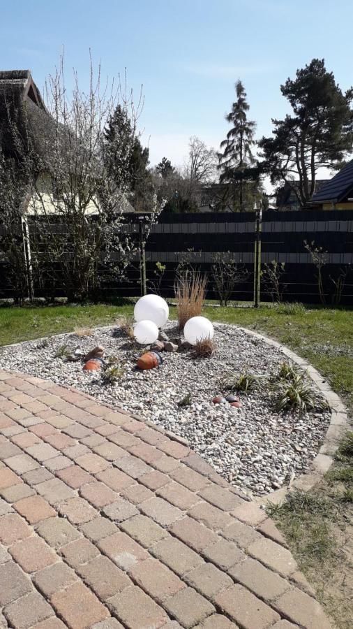 Ferienwohnung Born Am Darsswald Eg Eksteriør bilde